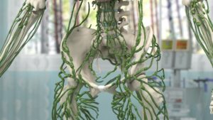 How Does Your Lymphatic System Affect Your Daily Energy Levels - manual lymphatic drainage